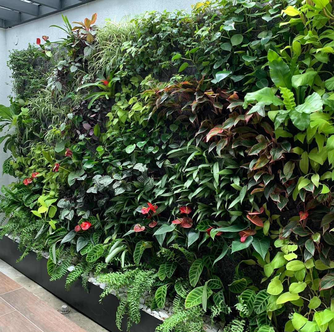 Jardín vertical instalado en el patio de una casa de lujo estrato 5 en Bucaramanga.