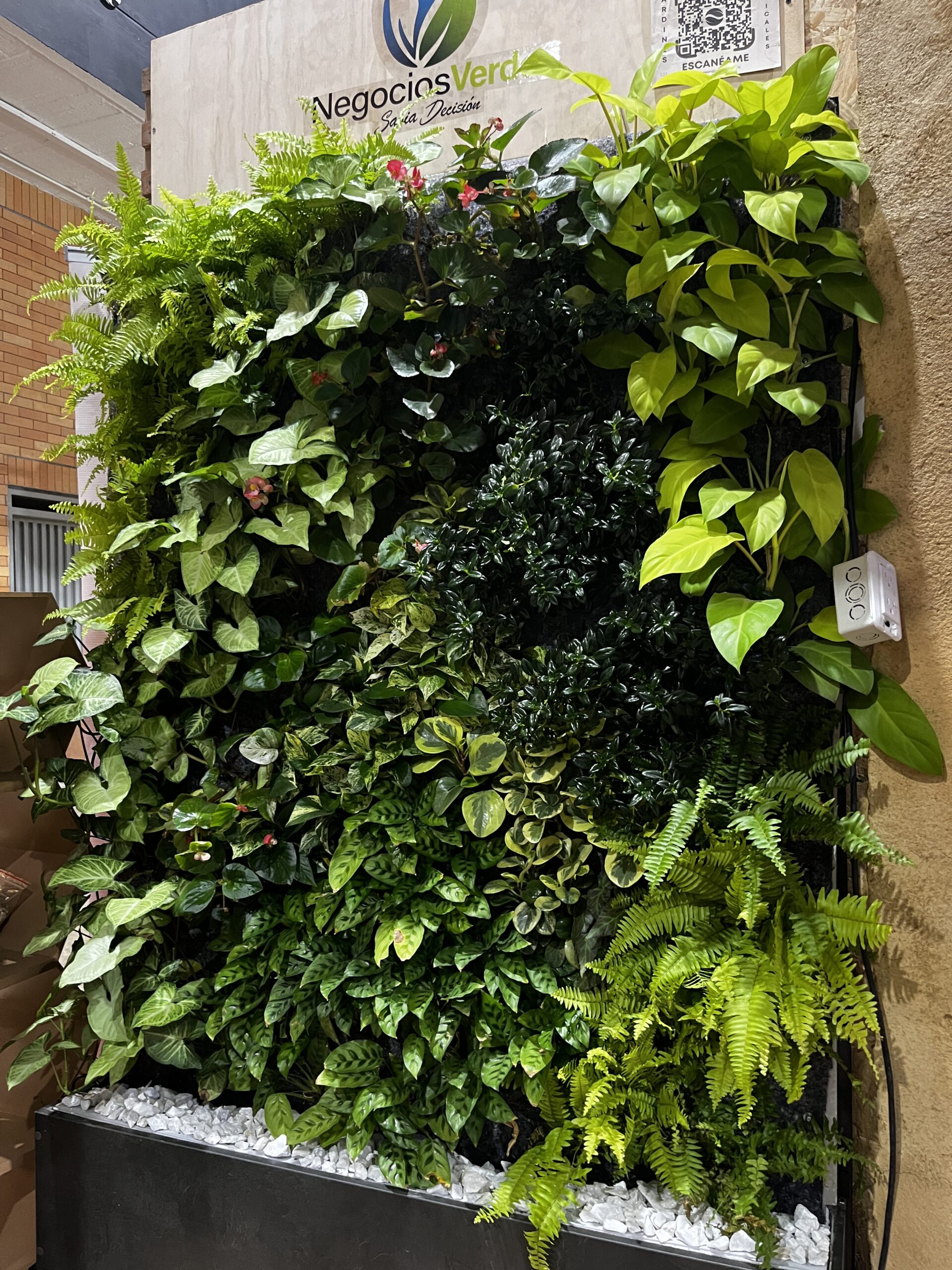 Jardín vertical con plantas naturales instalado para el evento Bioexpo.