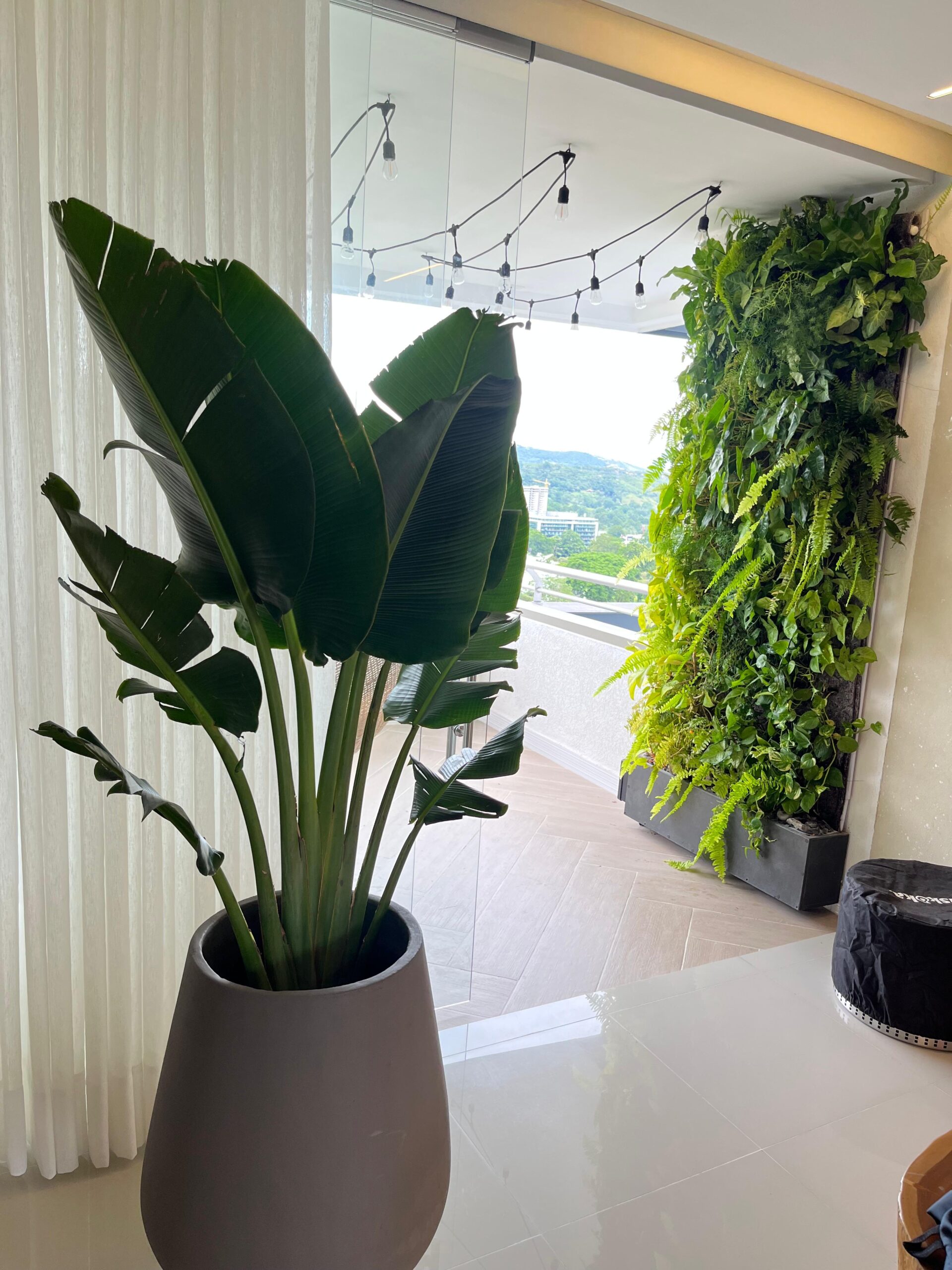 Jardin vertical interior