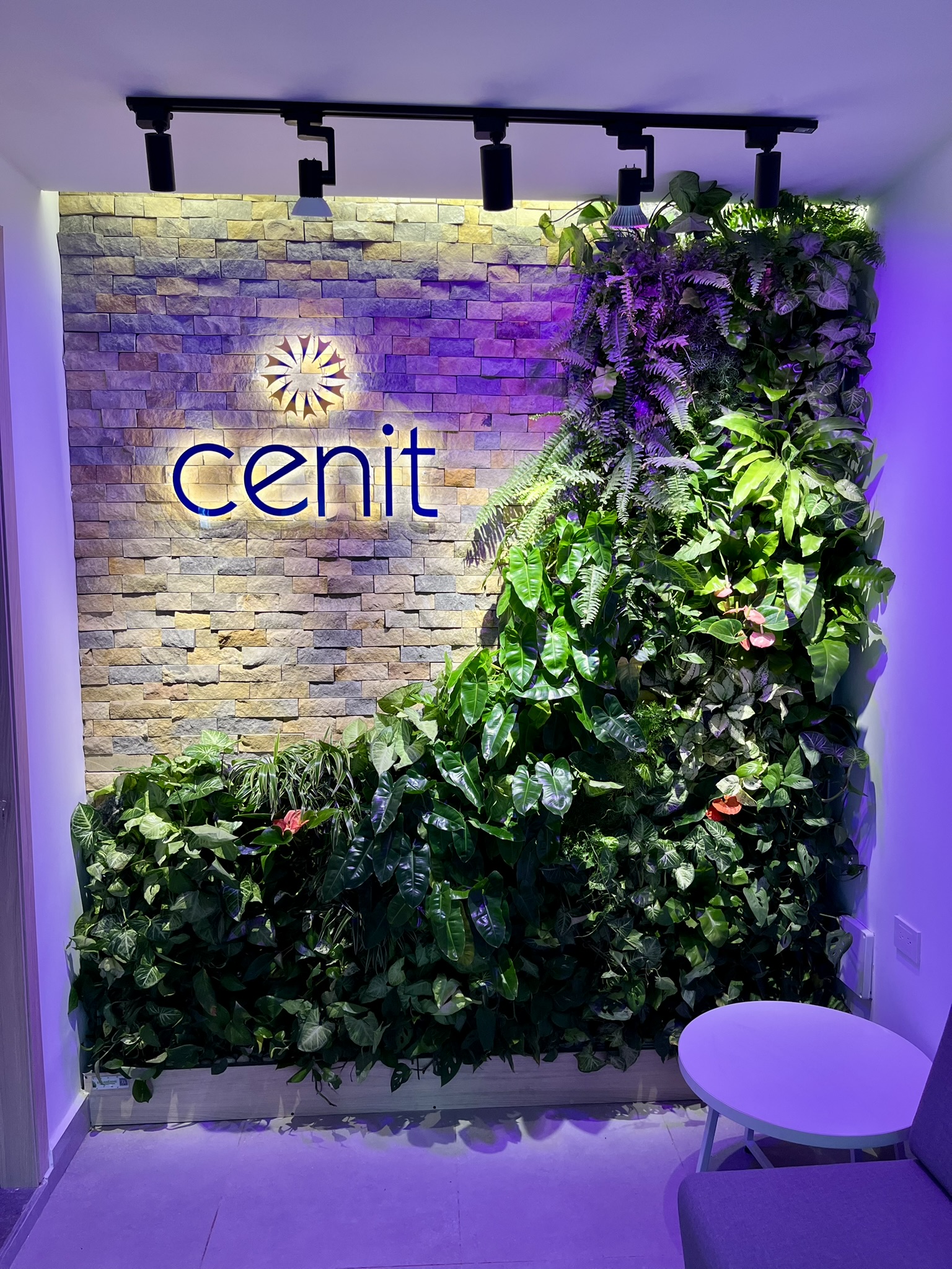 Jardín vertical en oficina